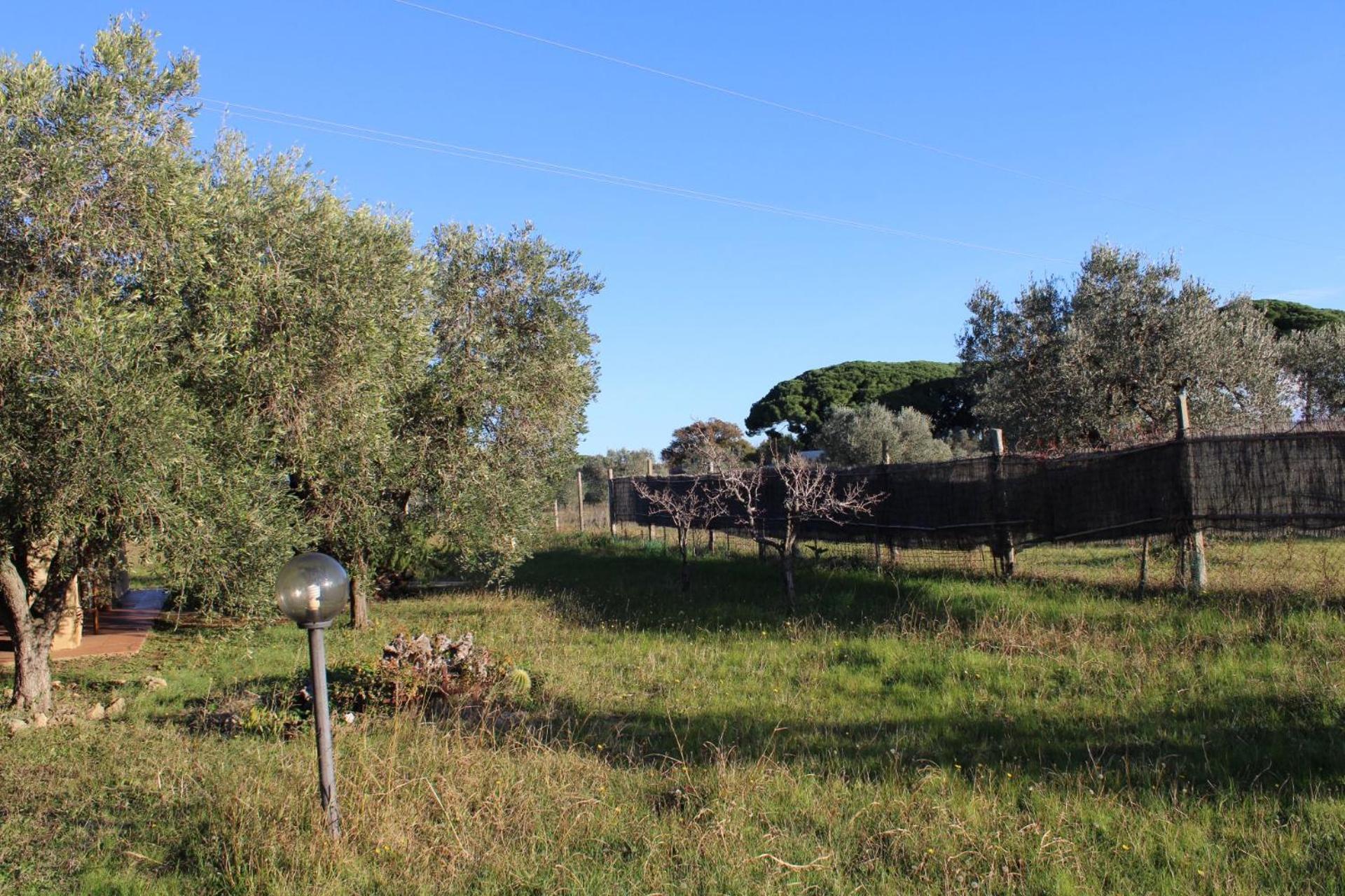 Cottage With A Great Fenced Garden In The Tuscan Countryside チェチナ エクステリア 写真